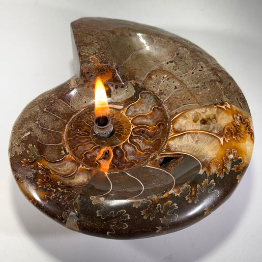 Manjunga Ammonite Fossil Bowl Candle– Handcrafted Rock Oil Lamp for Home Decor