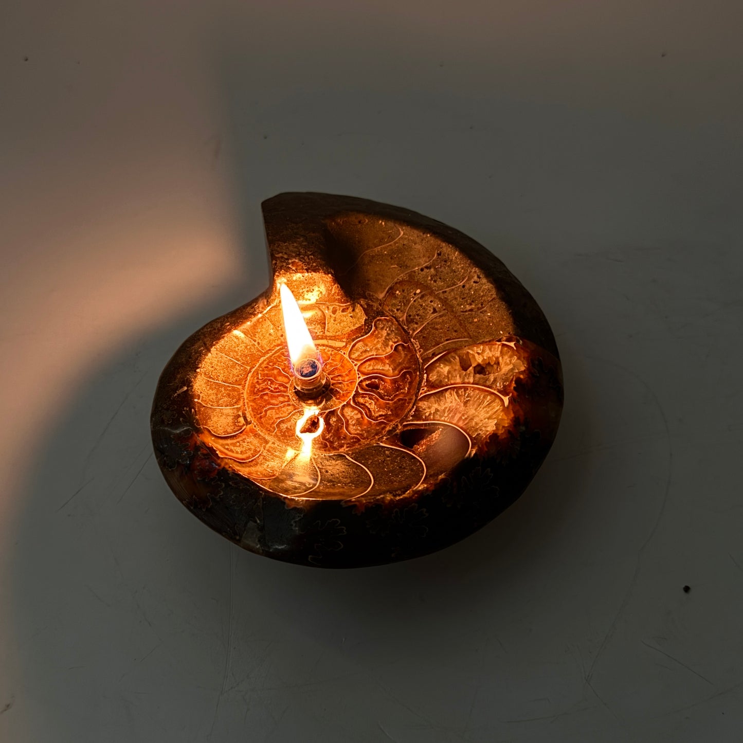 Manjunga Ammonite Fossil Bowl Candle– Handcrafted Rock Oil Lamp for Home Decor