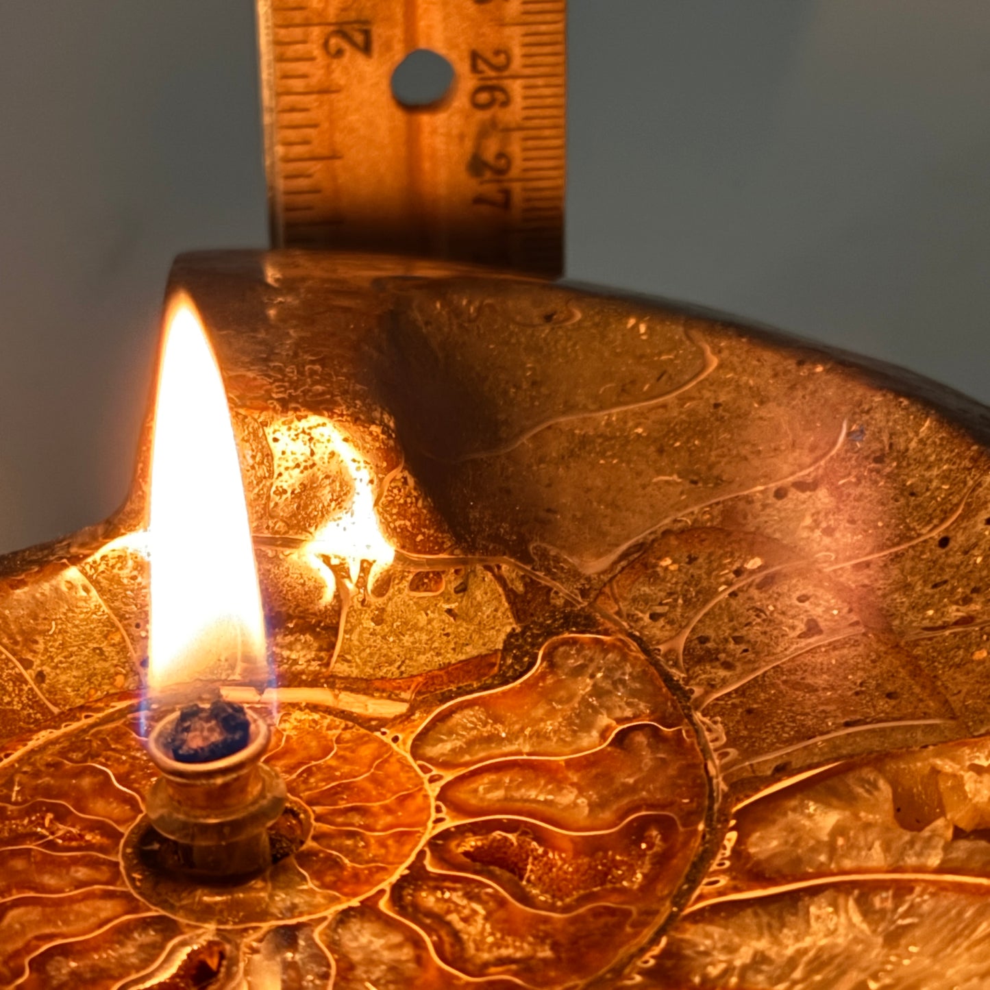 Manjunga Ammonite Fossil Bowl Candle– Handcrafted Rock Oil Lamp for Home Decor