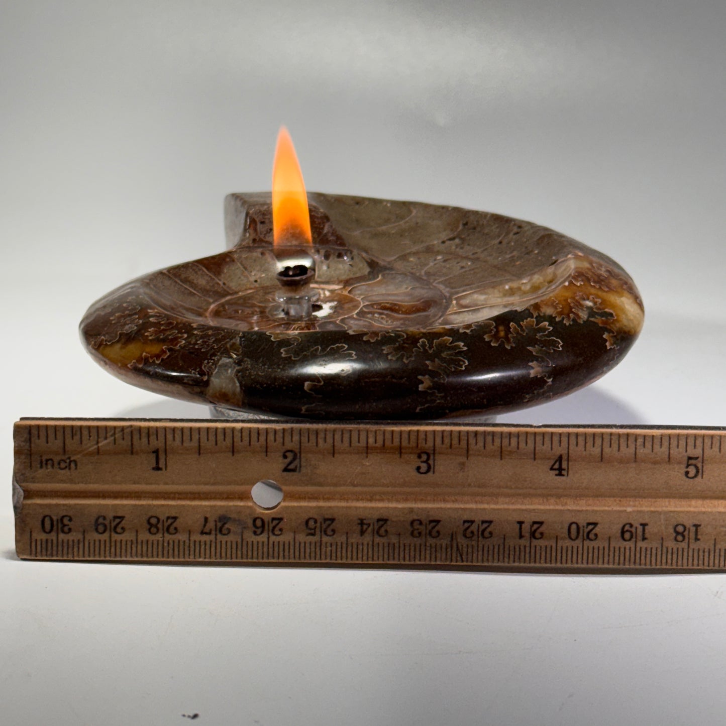 Manjunga Ammonite Fossil Bowl Candle– Handcrafted Rock Oil Lamp for Home Decor