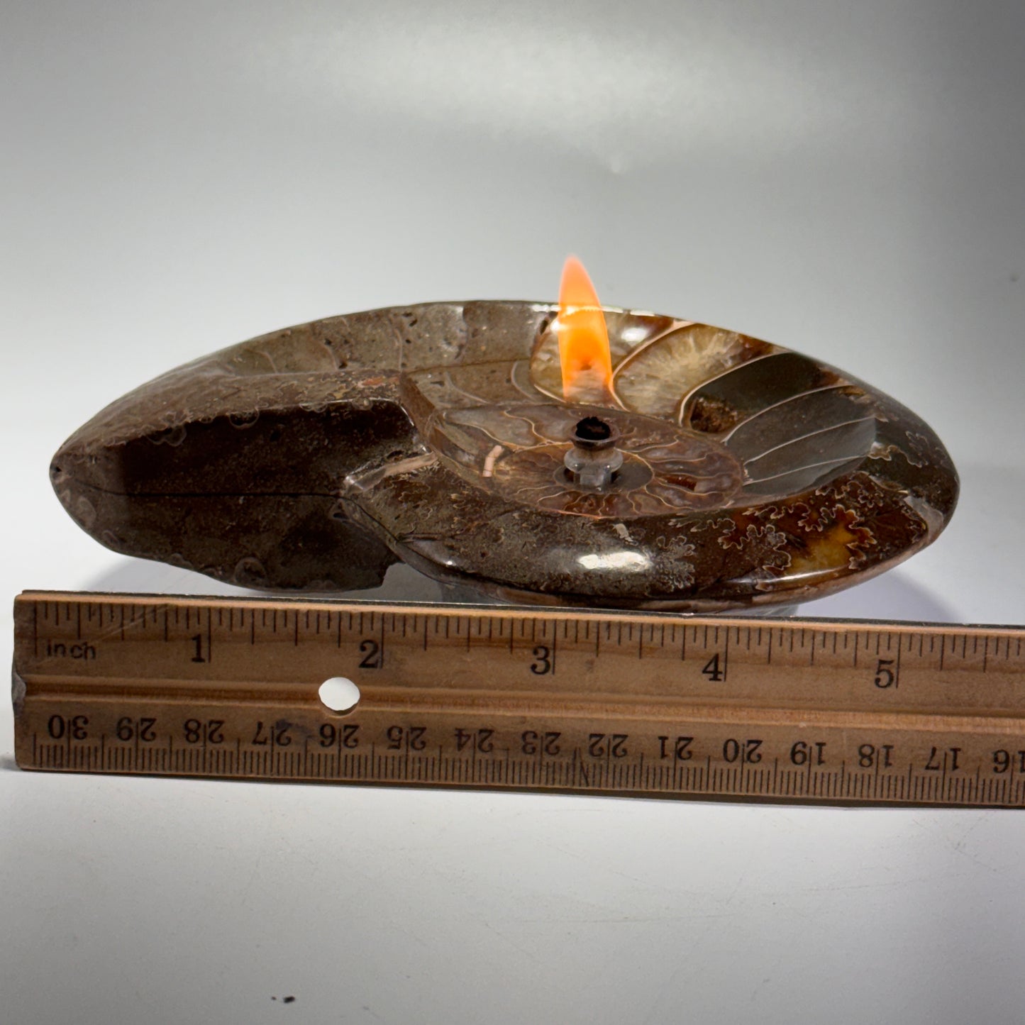 Manjunga Ammonite Fossil Bowl Candle– Handcrafted Rock Oil Lamp for Home Decor