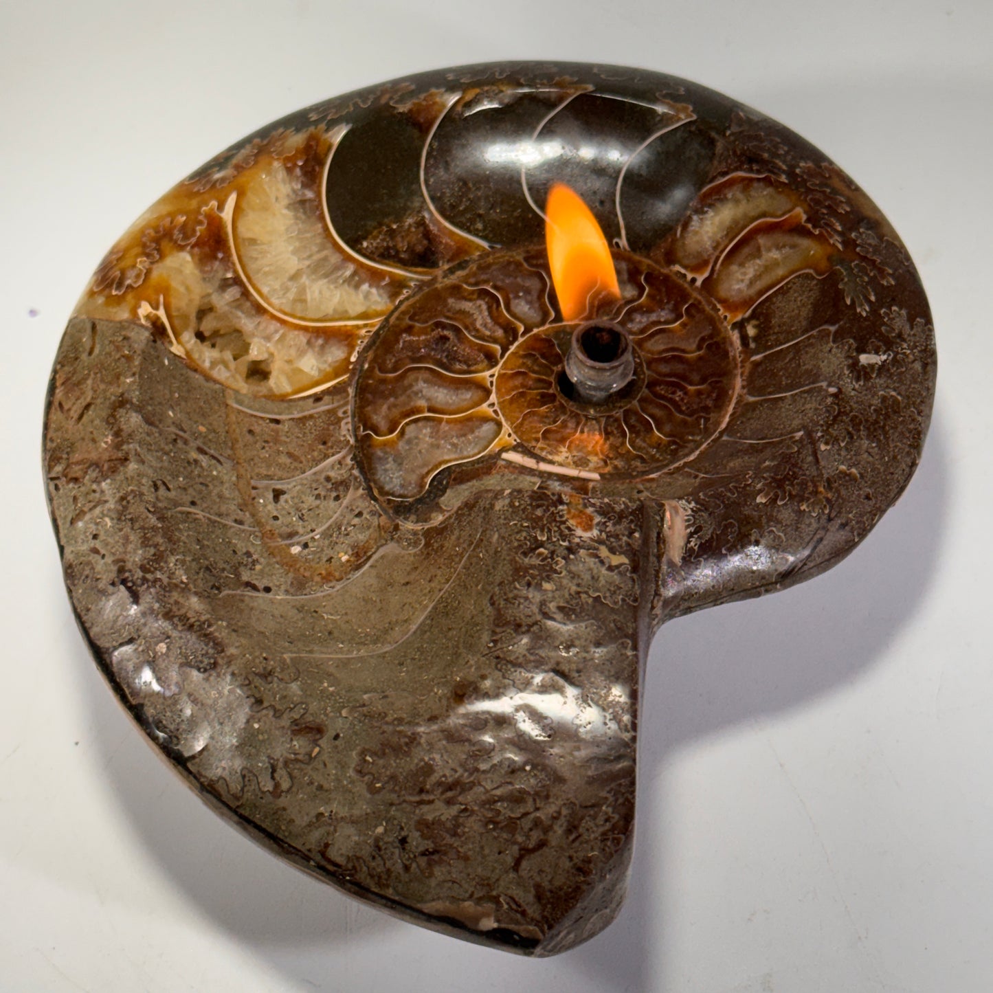 Manjunga Ammonite Fossil Bowl Candle– Handcrafted Rock Oil Lamp for Home Decor