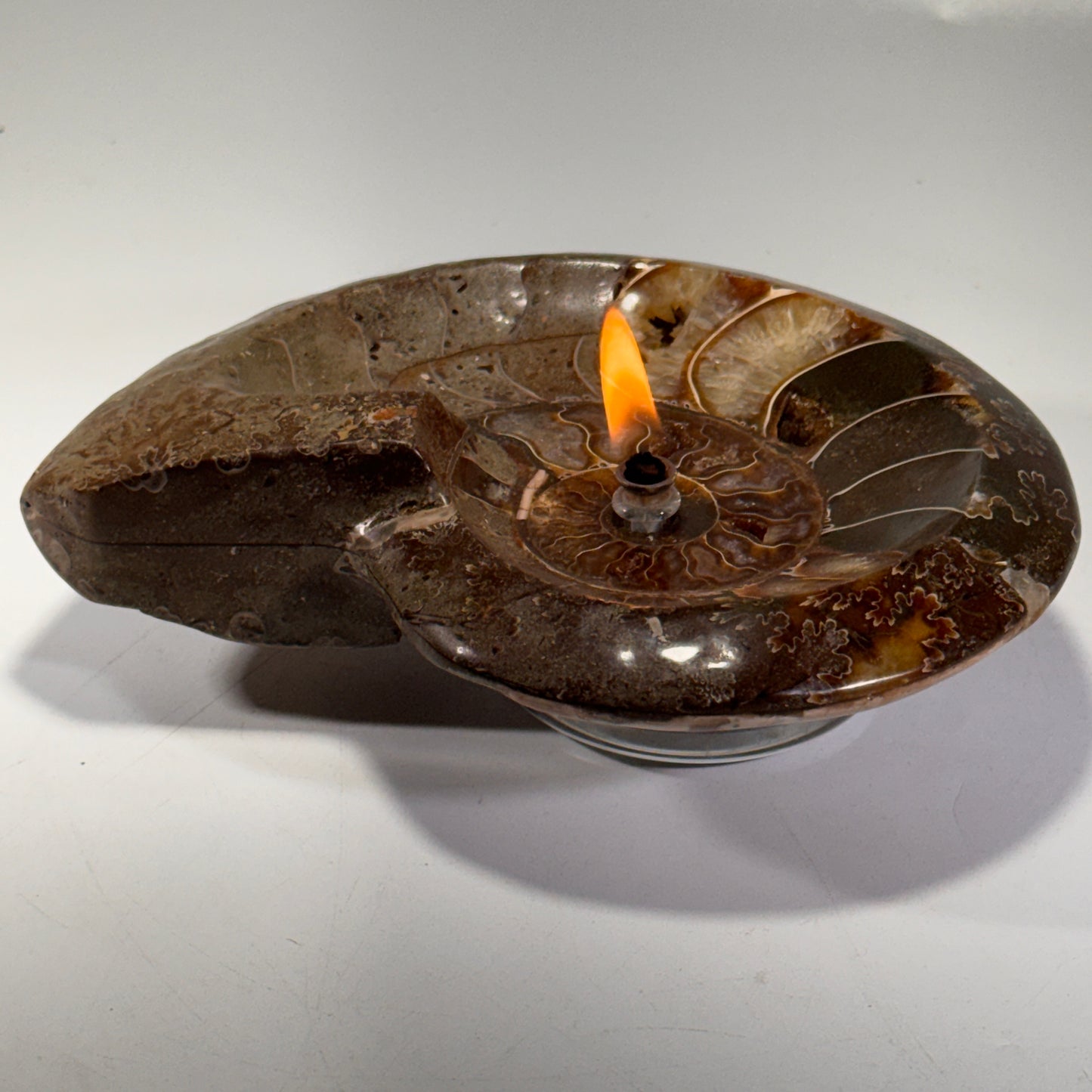 Manjunga Ammonite Fossil Bowl Candle– Handcrafted Rock Oil Lamp for Home Decor