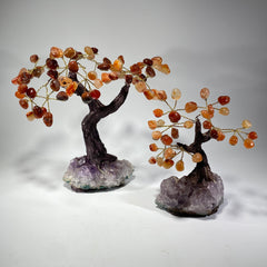 Gemstone Bonsai Tree - Carnelian