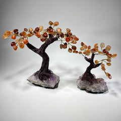 Gemstone Bonsai Tree - Carnelian