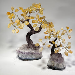 Gemstone Bonsai Tree - Citrine