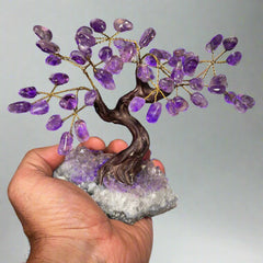 Gemstone Bonsai Tree - Amethyst