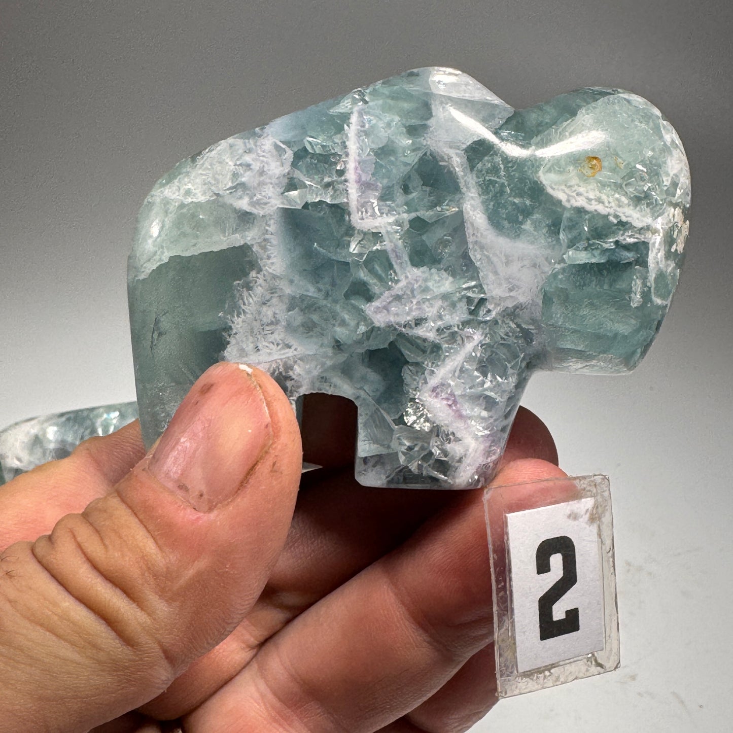Fluorite Buffalo Fetish - 3.25x2.25 Inches