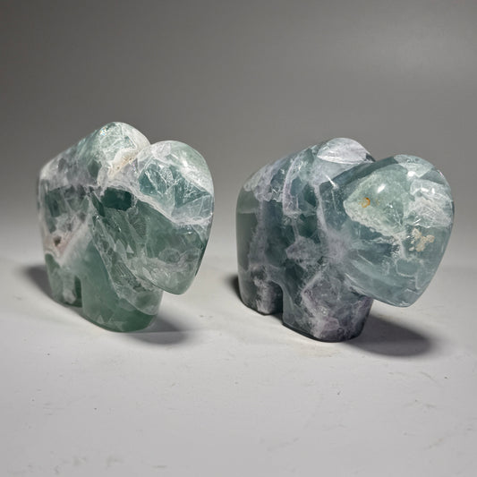 Fluorite Buffalo Fetish - 3.25x2.25 Inches
