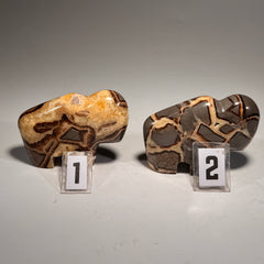 Septarian Buffalo Fetish - 2.5x1.75 Inches