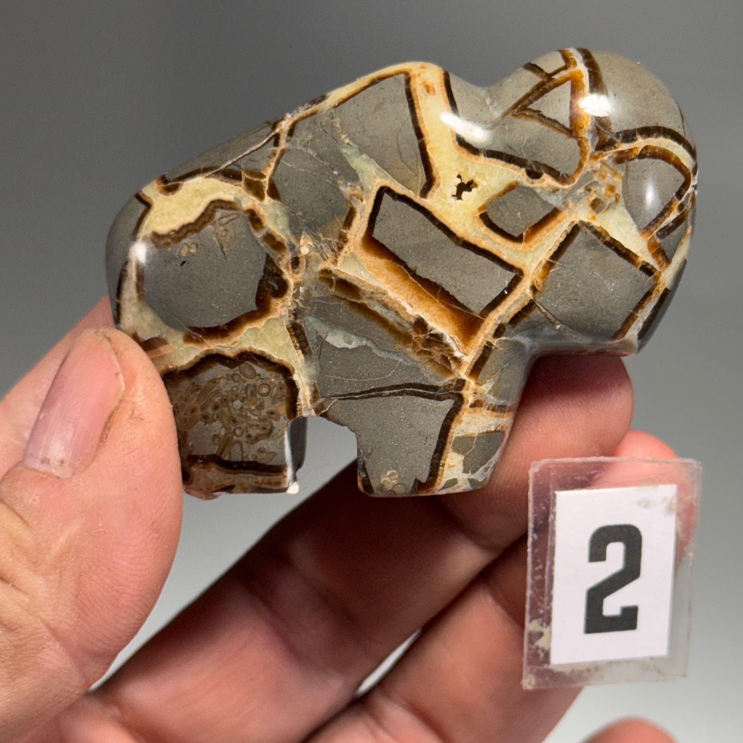 Septarian Buffalo Fetish - 2.5x1.75 Inches