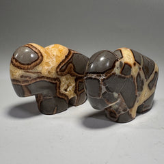 Septarian Buffalo Fetish - 2.5x1.75 Inches