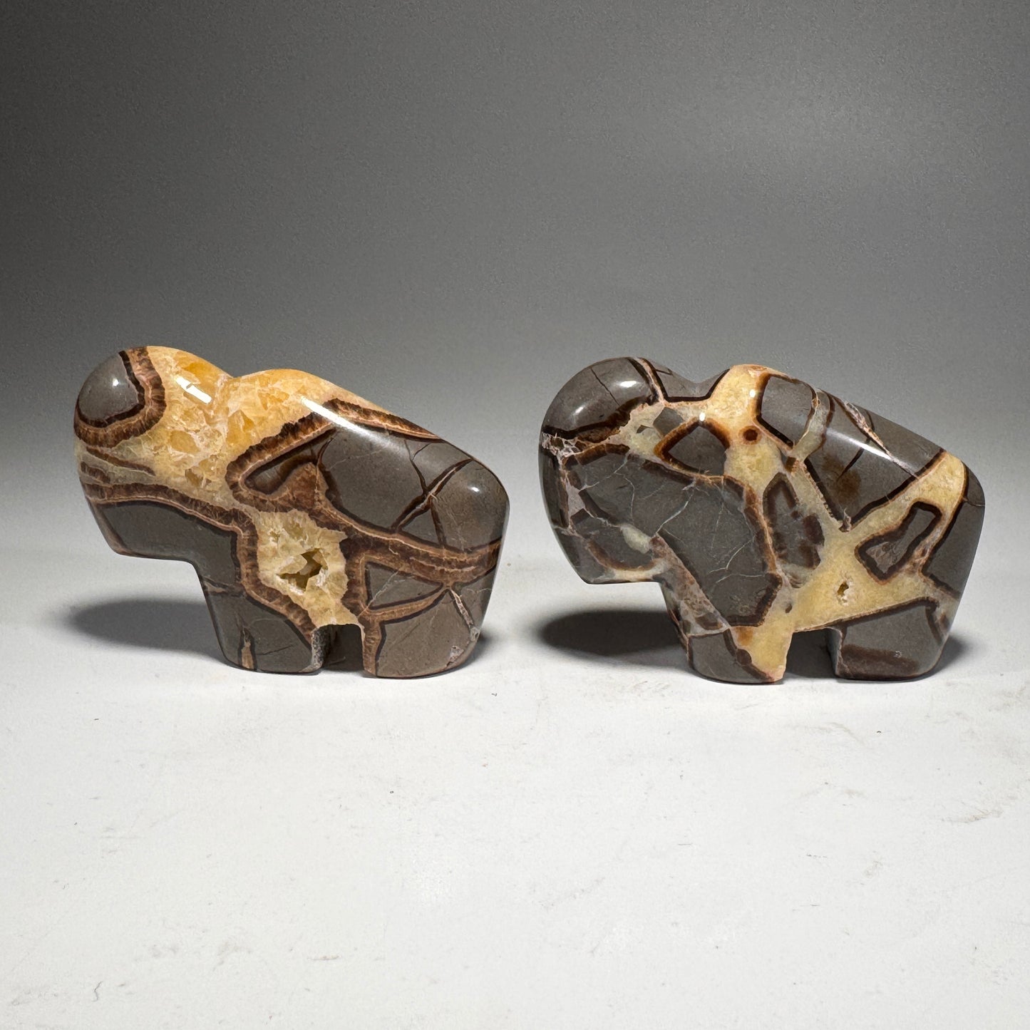 Septarian Buffalo Fetish - 2.5x1.75 Inches