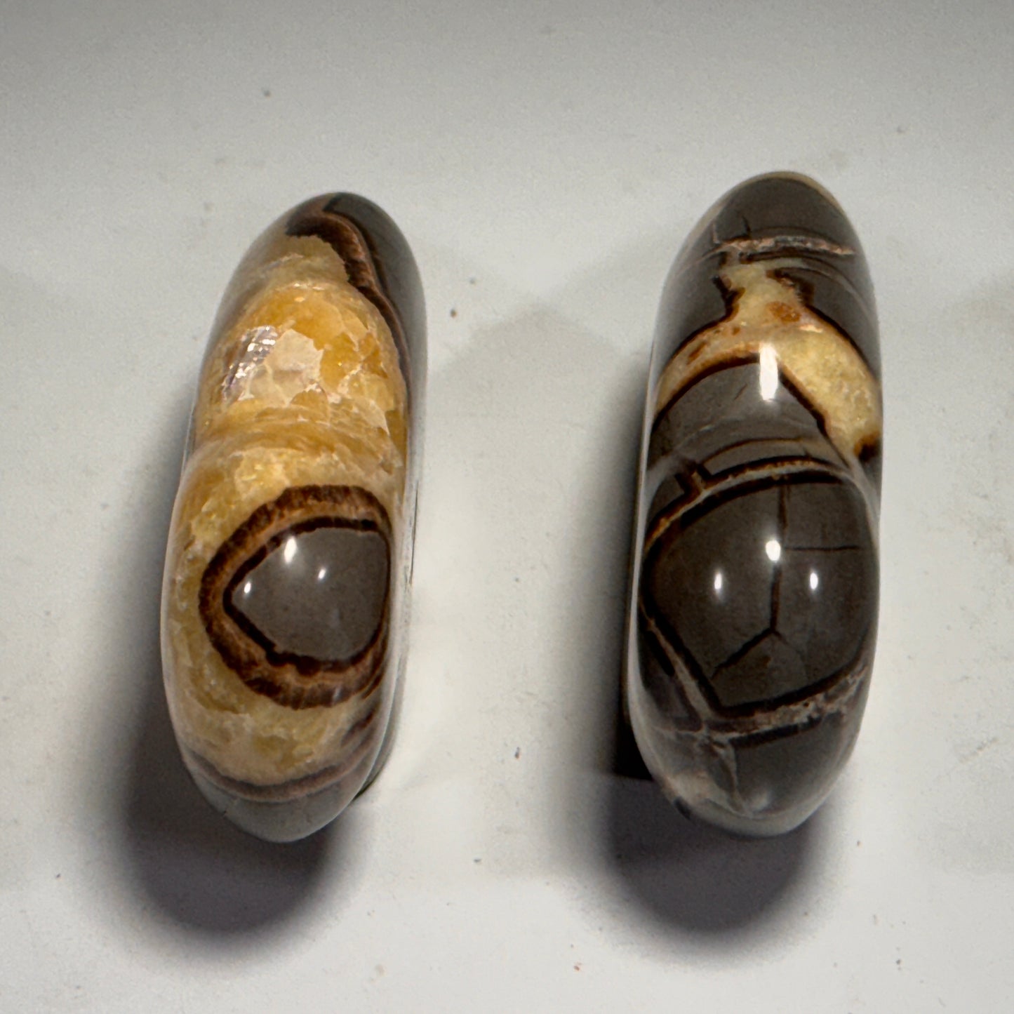 Septarian Buffalo Fetish - 2.5x1.75 Inches