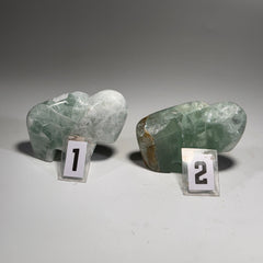 Fluorite Buffalo Fetish - 2.5x1.75 Inches
