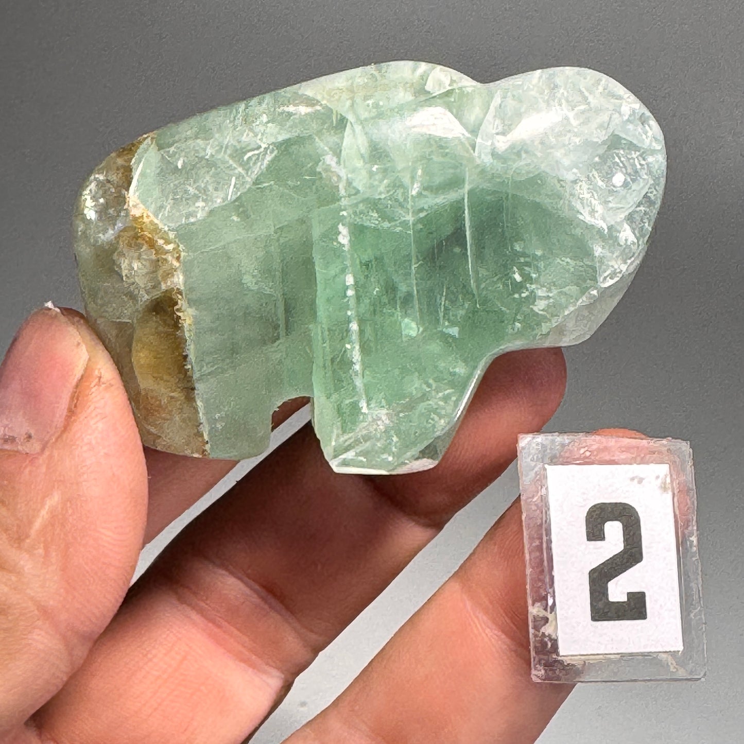 Fluorite Buffalo Fetish - 2.5x1.75 Inches