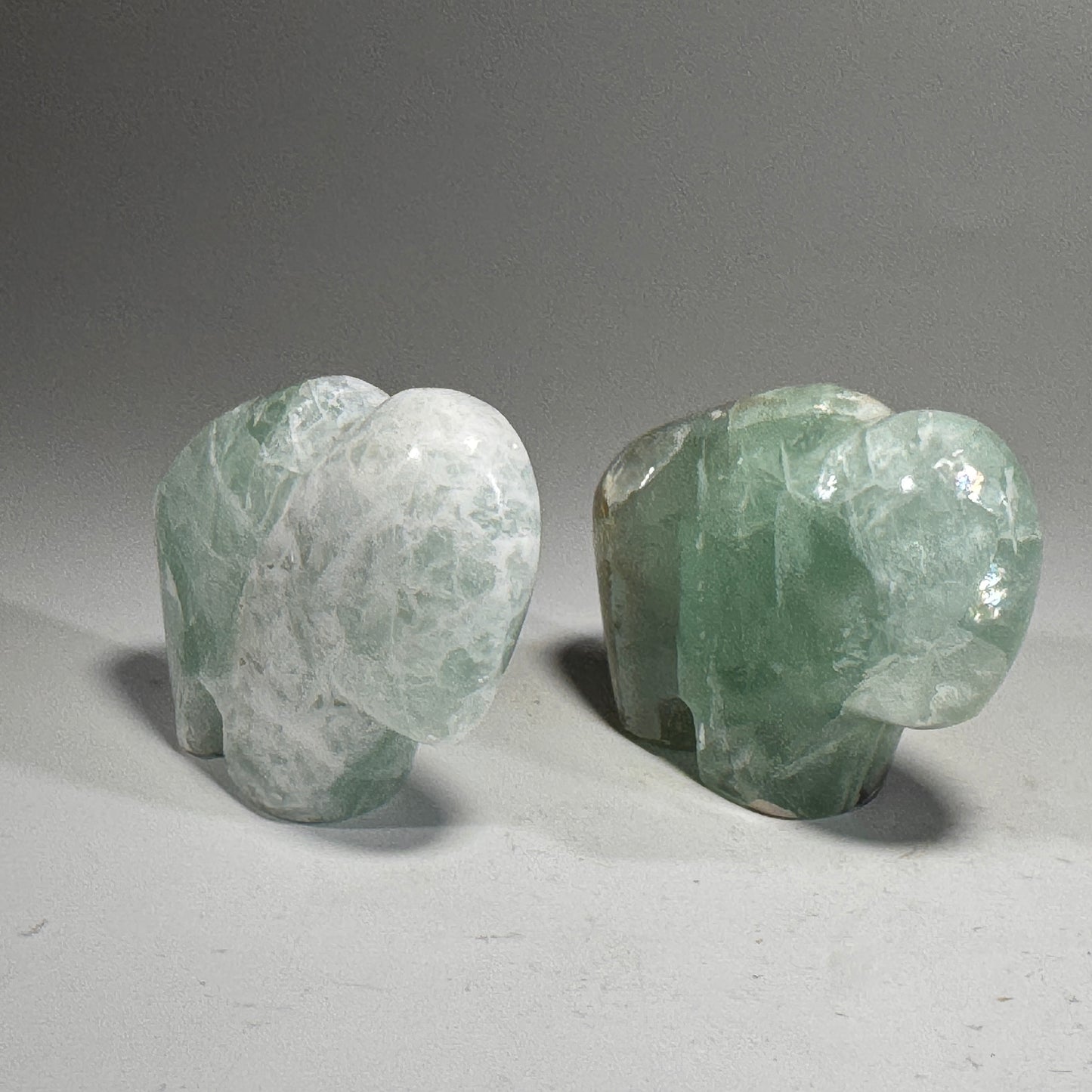 Fluorite Buffalo Fetish - 2.5x1.75 Inches