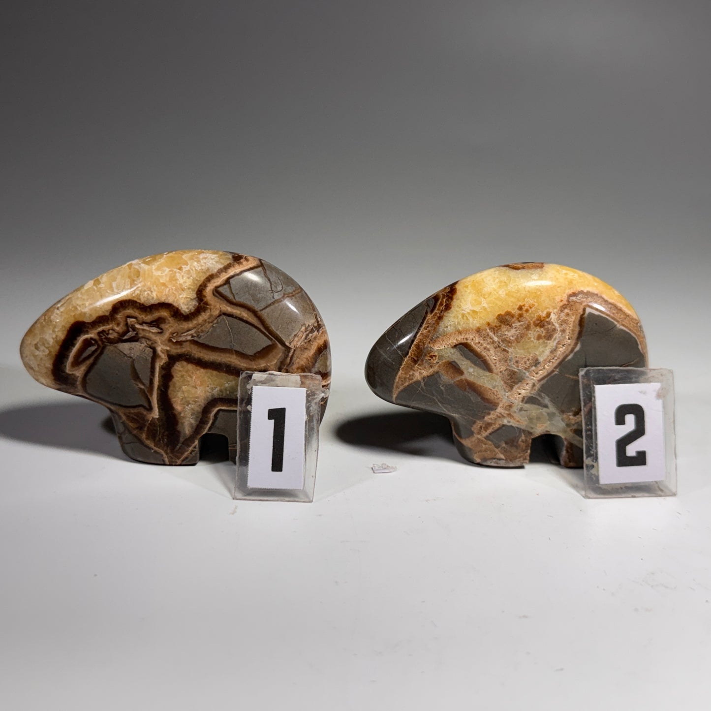 Septarian Bear Fetish - 2.5x1.75 Inches