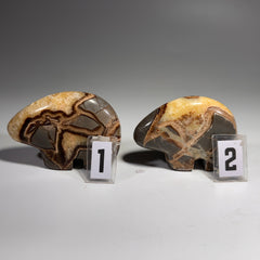 Septarian Bear Fetish - 2.5x1.75 Inches
