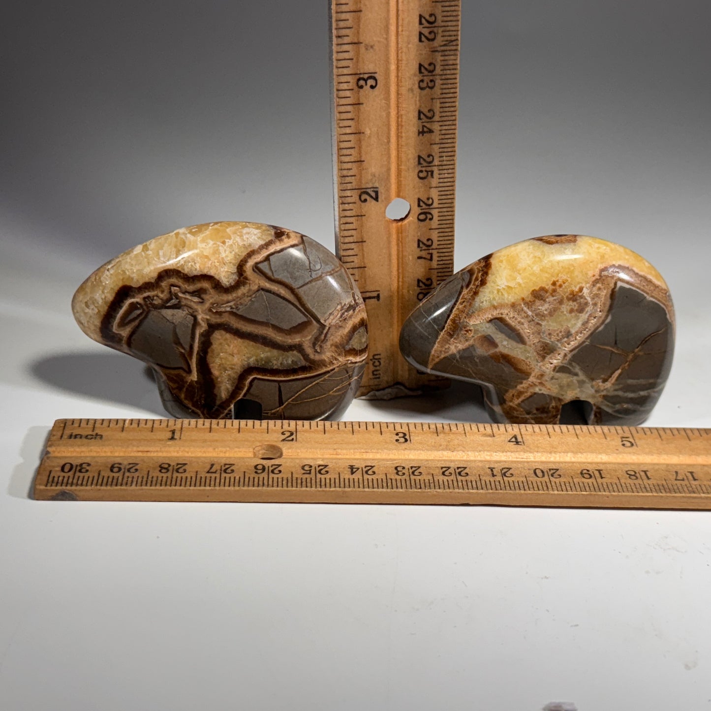 Septarian Bear Fetish - 2.5x1.75 Inches