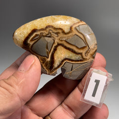 Septarian Bear Fetish - 2.5x1.75 Inches