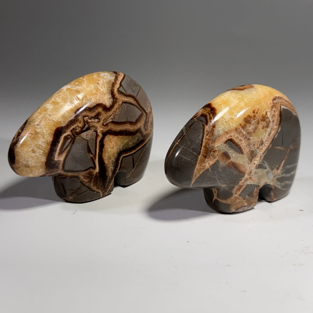 Septarian Bear Fetish - 2.5x1.75 Inches