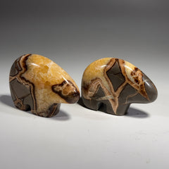 Septarian Bear Fetish - 2.5x1.75 Inches