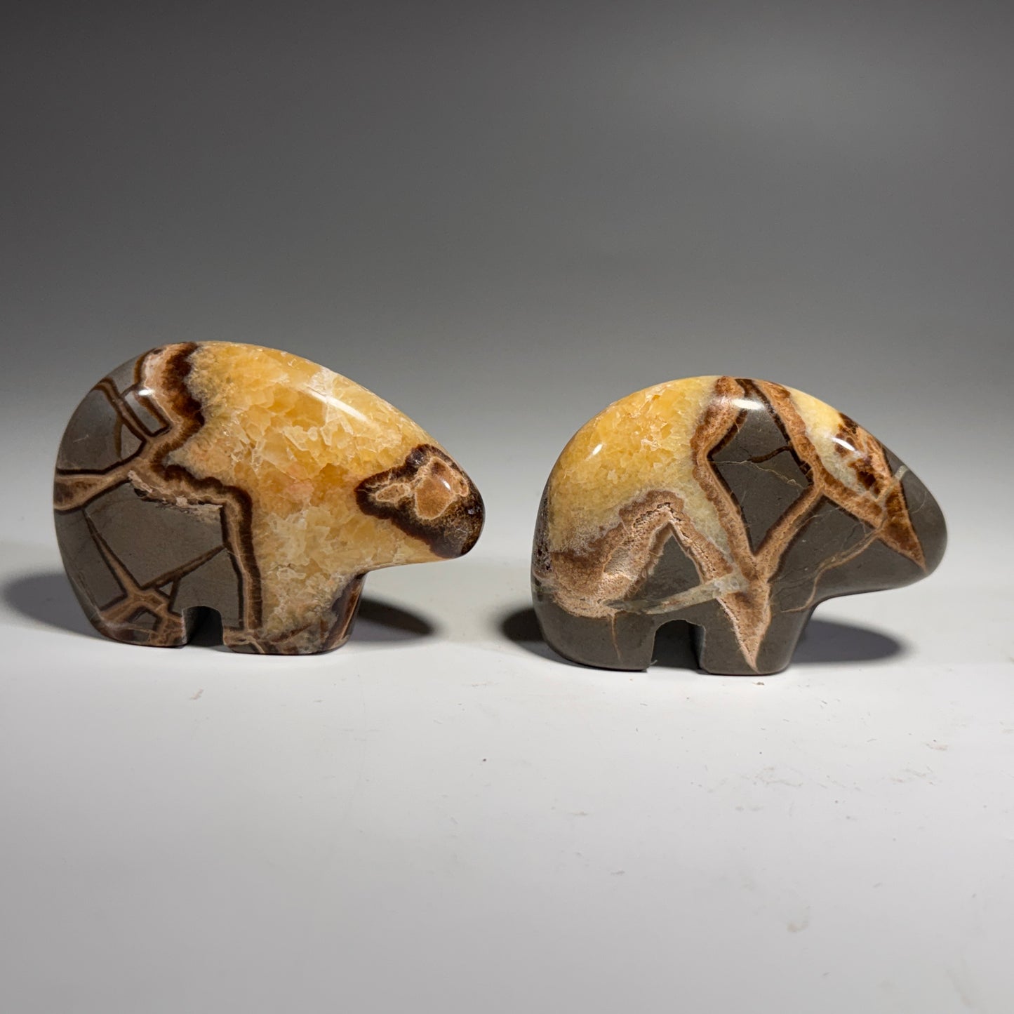 Septarian Bear Fetish - 2.5x1.75 Inches