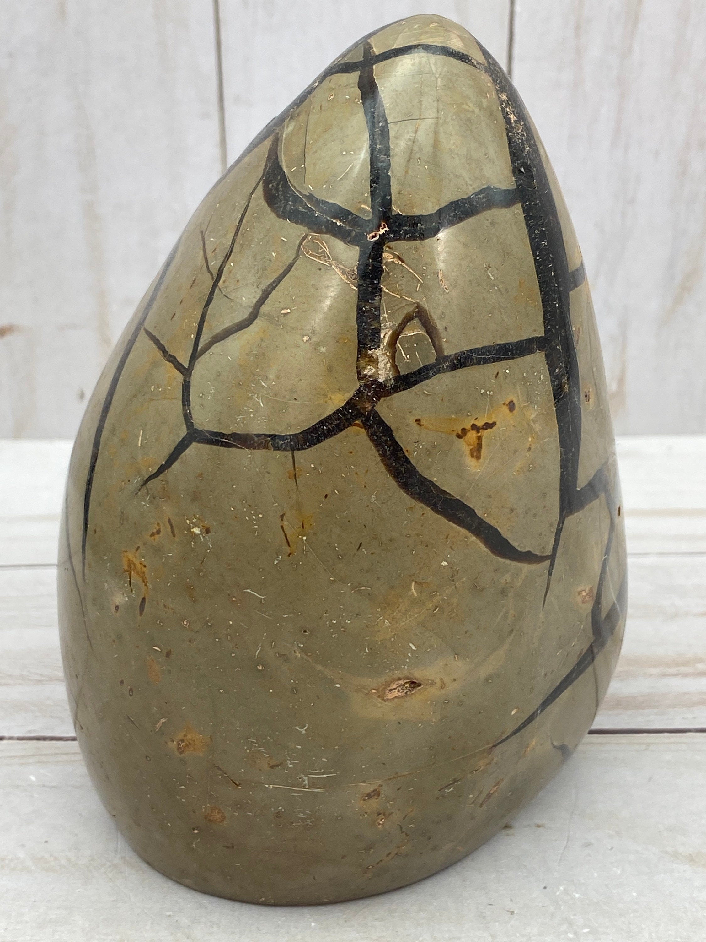[shopname] - Dragons Egg Septarian Nodule, rock decor