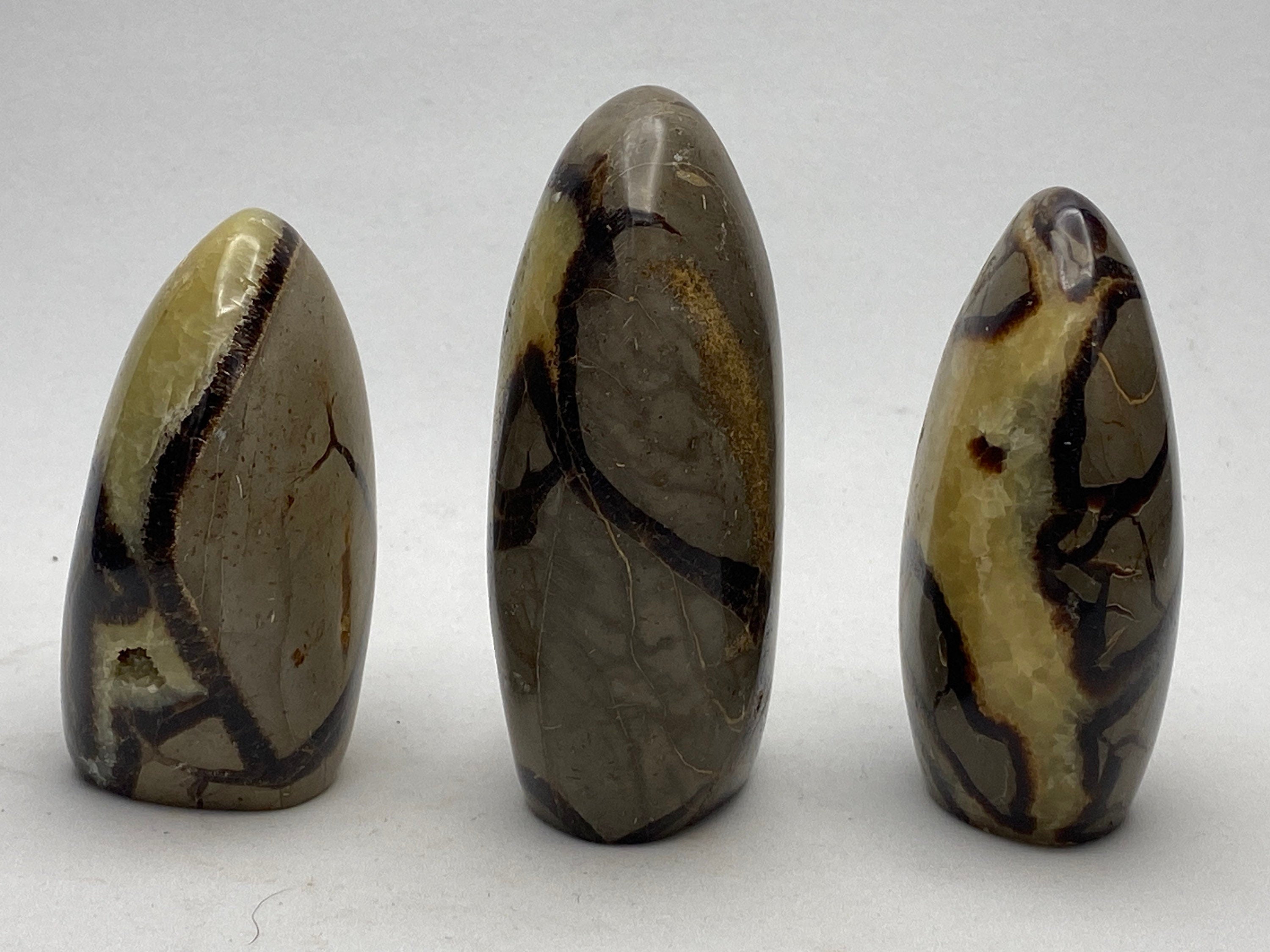 [shopname] - Septarian Nodule, dragon's egg, freeform, rock decor