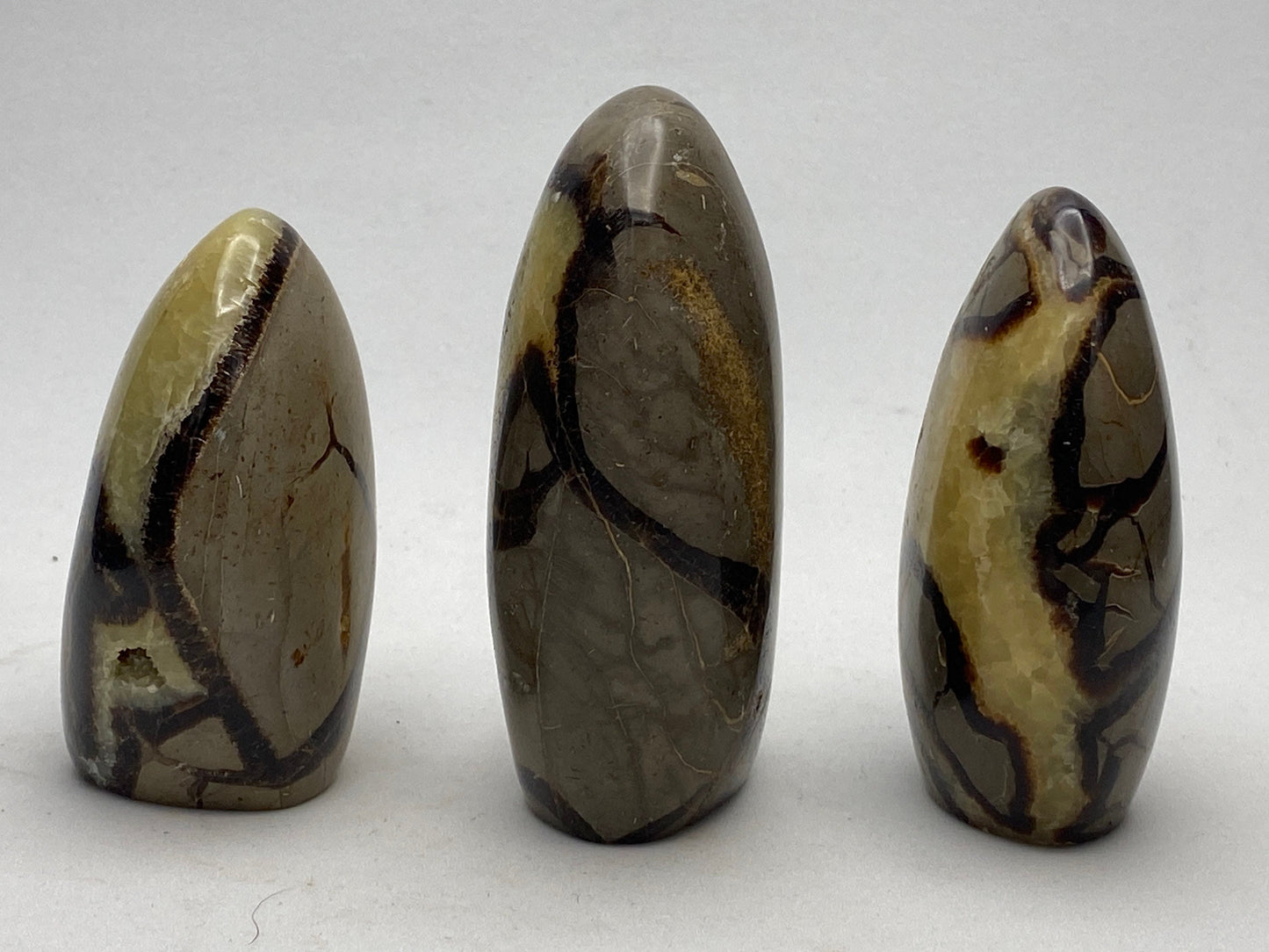 [shopname] - Septarian Nodule, dragon's egg, freeform, rock decor