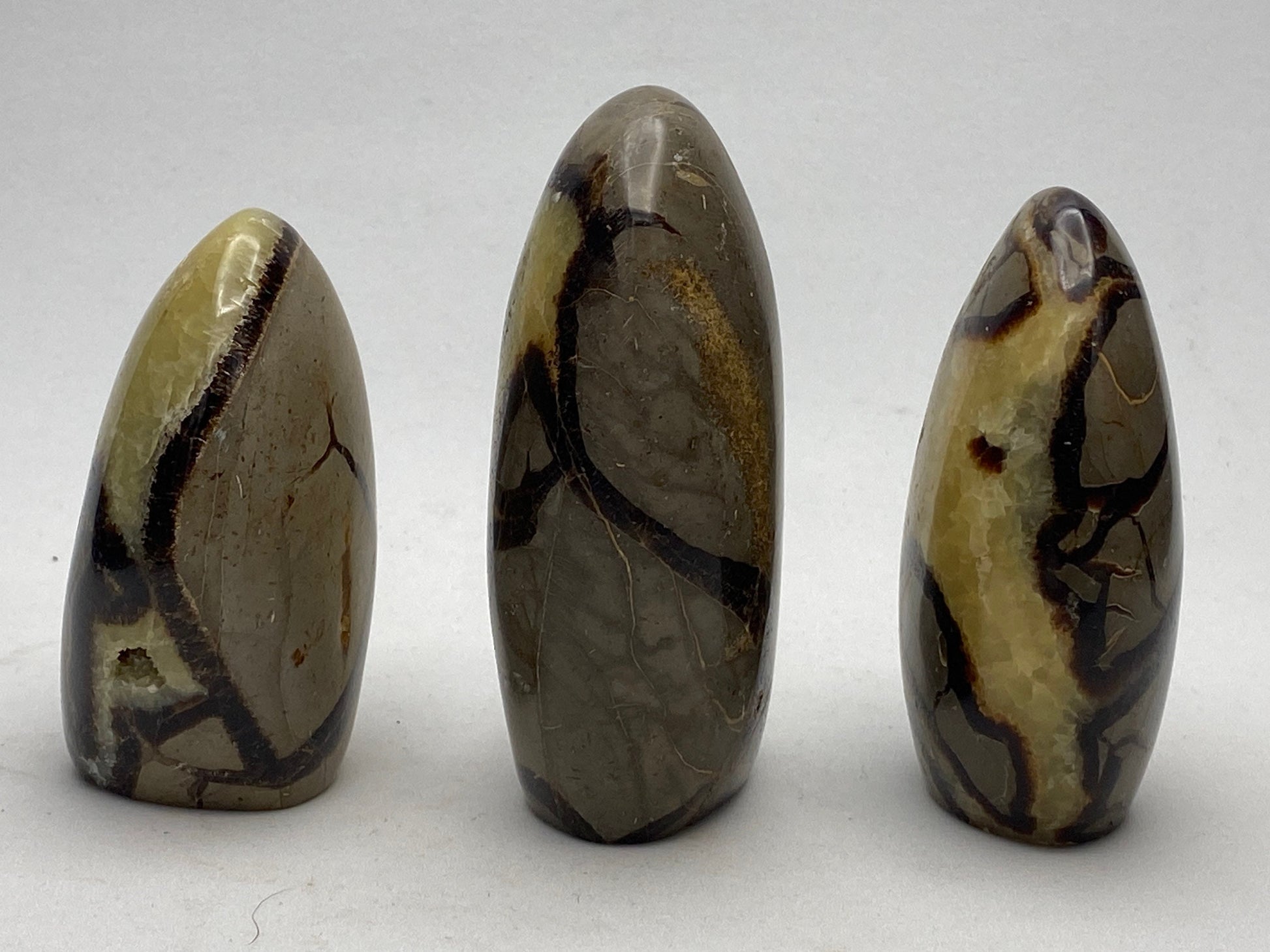 [shopname] - Septarian Nodule, dragon's egg, freeform, rock decor