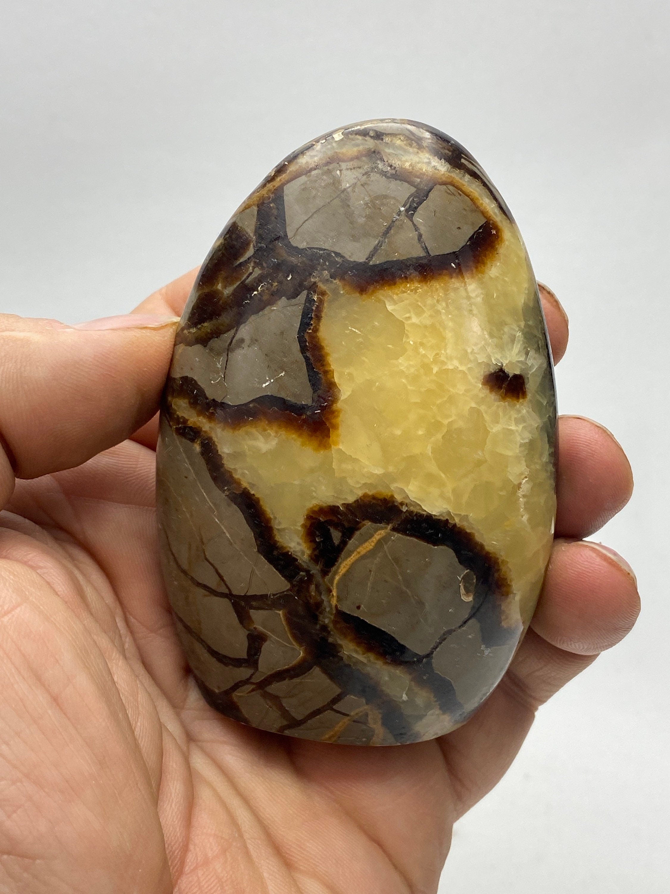 [shopname] - Septarian Nodule, dragon's egg, freeform, rock decor