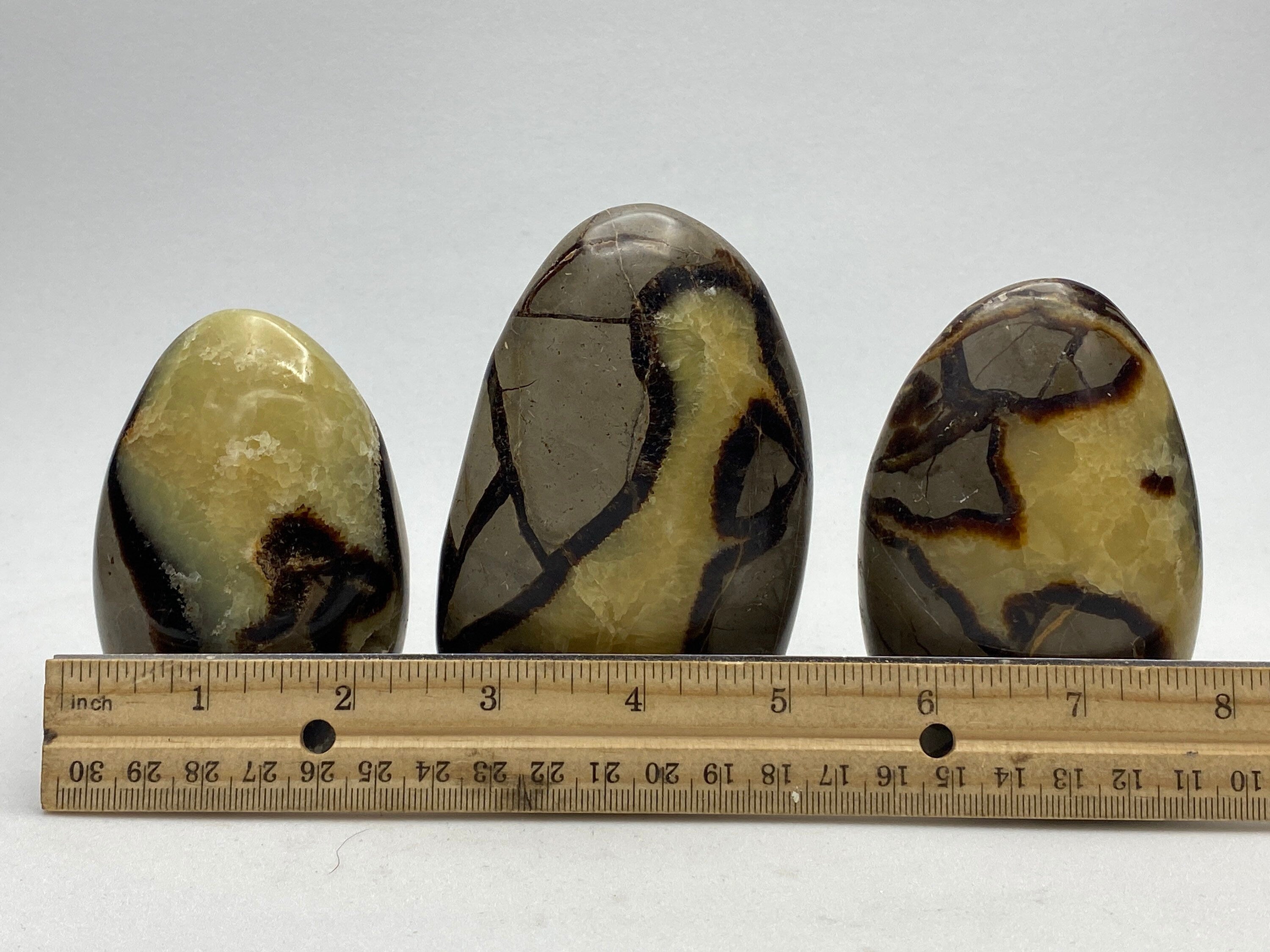 [shopname] - Septarian Nodule, dragon's egg, freeform, rock decor