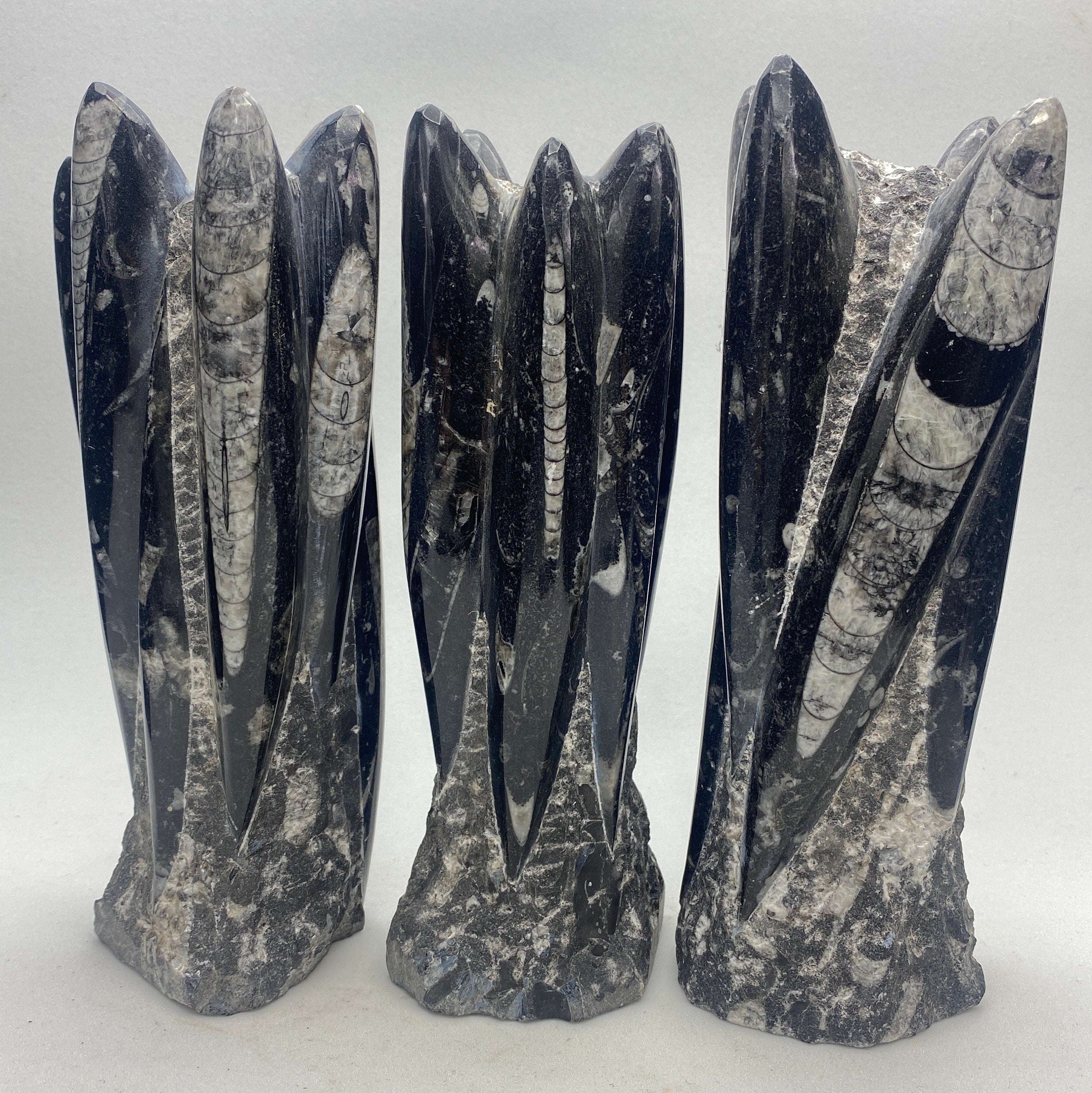 Orthoceras fossil tower, cephalopod fossils