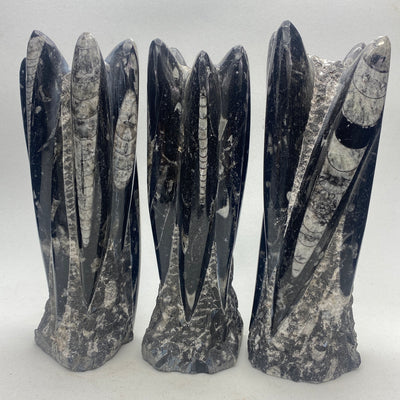 Orthoceras fossil tower, multiple cephalopod fossils