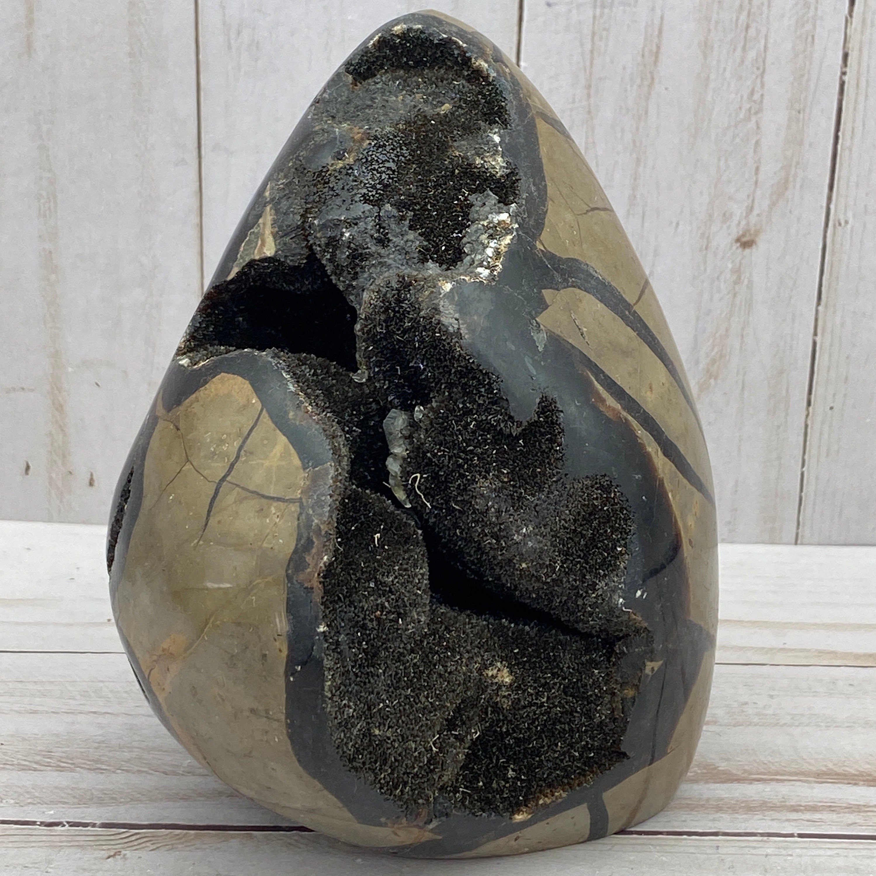[shopname] - Dragons Egg Septarian Nodule, rock decor