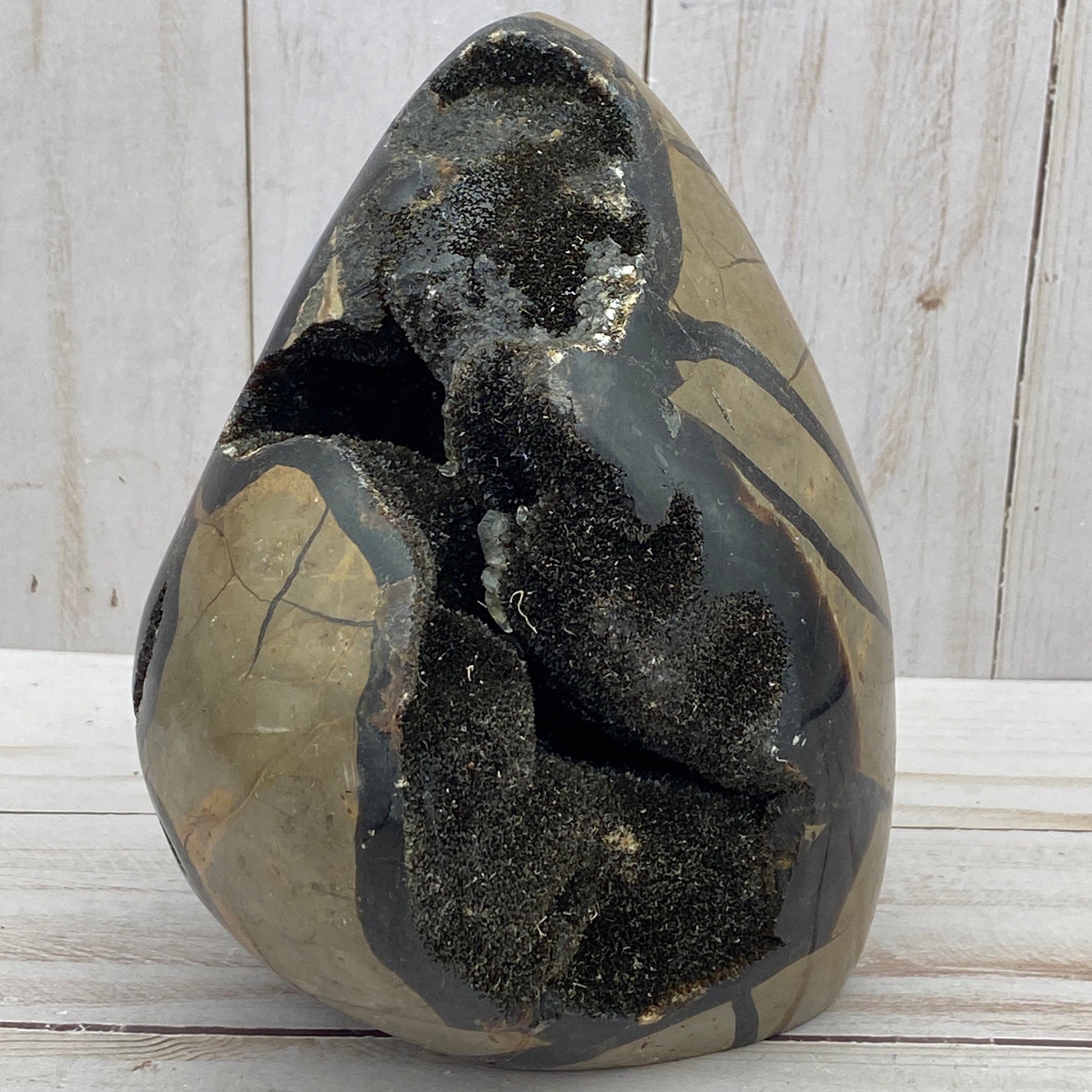 [shopname] - Dragons Egg Septarian Nodule, rock decor
