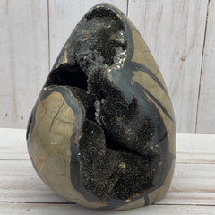 [shopname] - Dragons Egg Septarian Nodule, rock decor