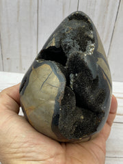 [shopname] - Dragons Egg Septarian Nodule, rock decor