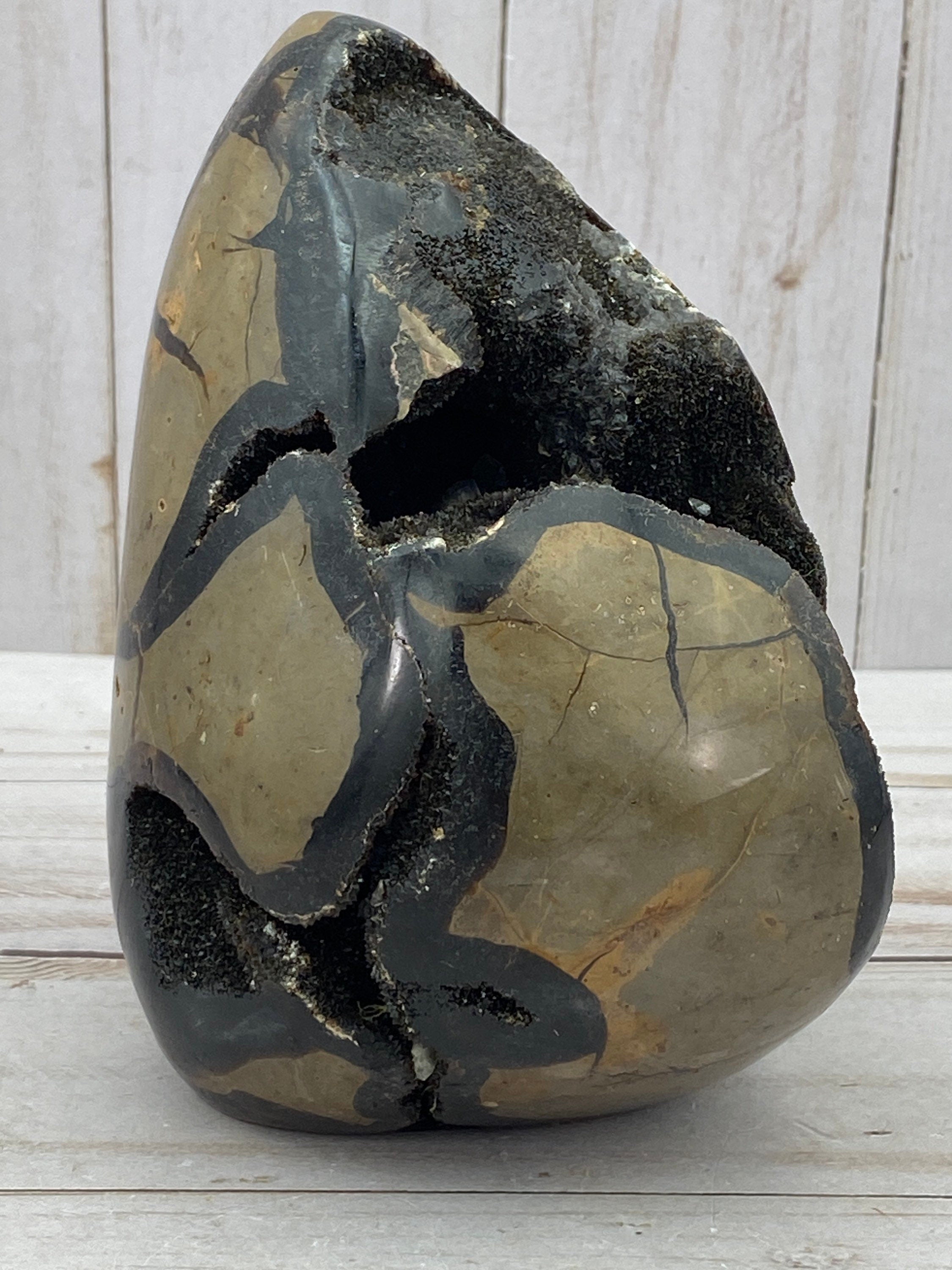 [shopname] - Dragons Egg Septarian Nodule, rock decor