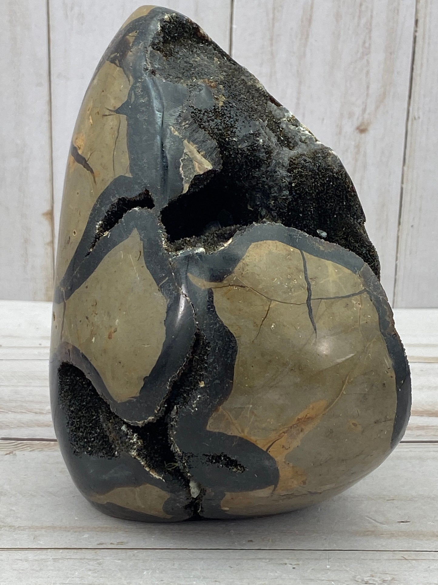 [shopname] - Dragons Egg Septarian Nodule, rock decor