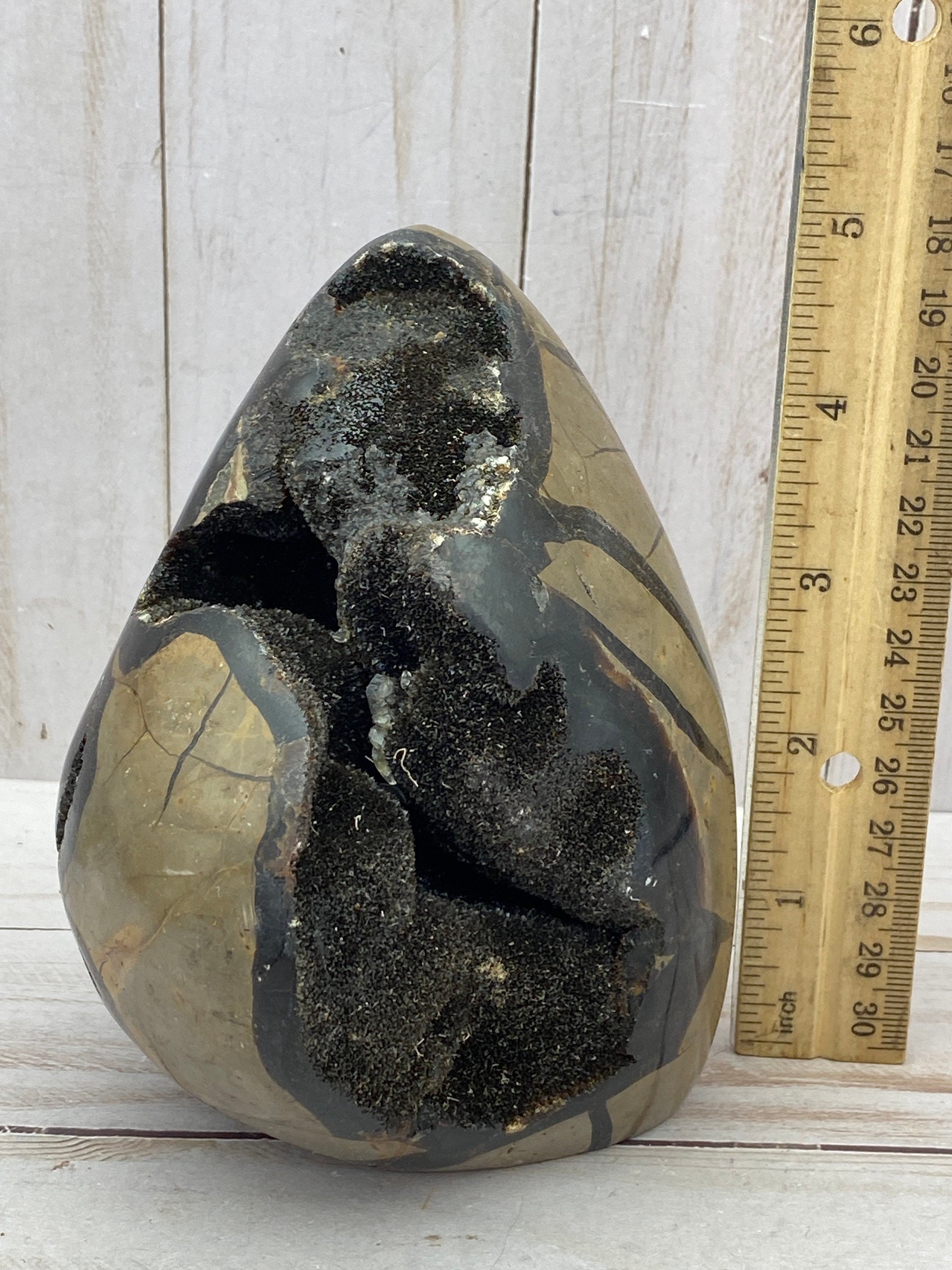 [shopname] - Dragons Egg Septarian Nodule, rock decor