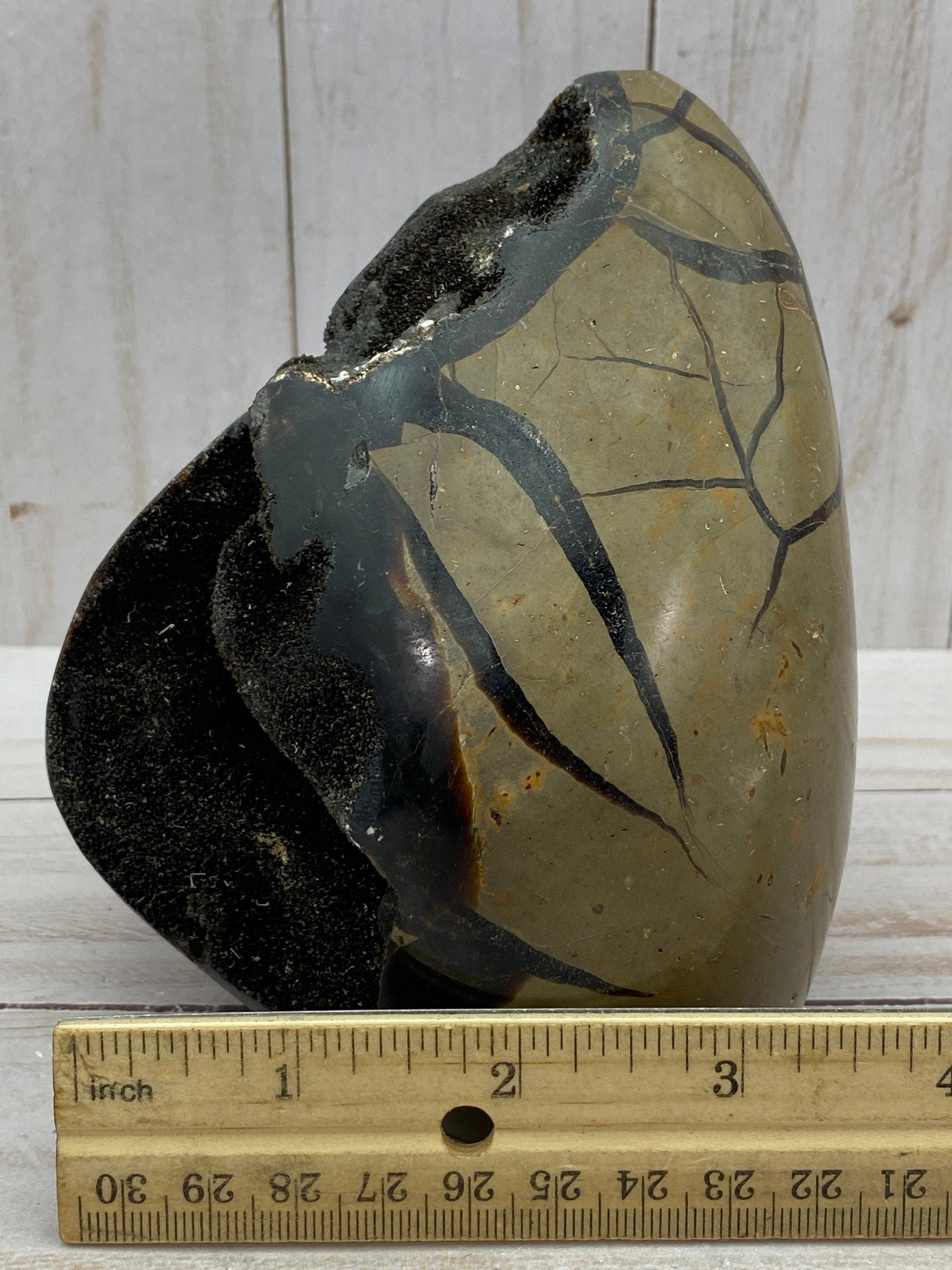 [shopname] - Dragons Egg Septarian Nodule, rock decor