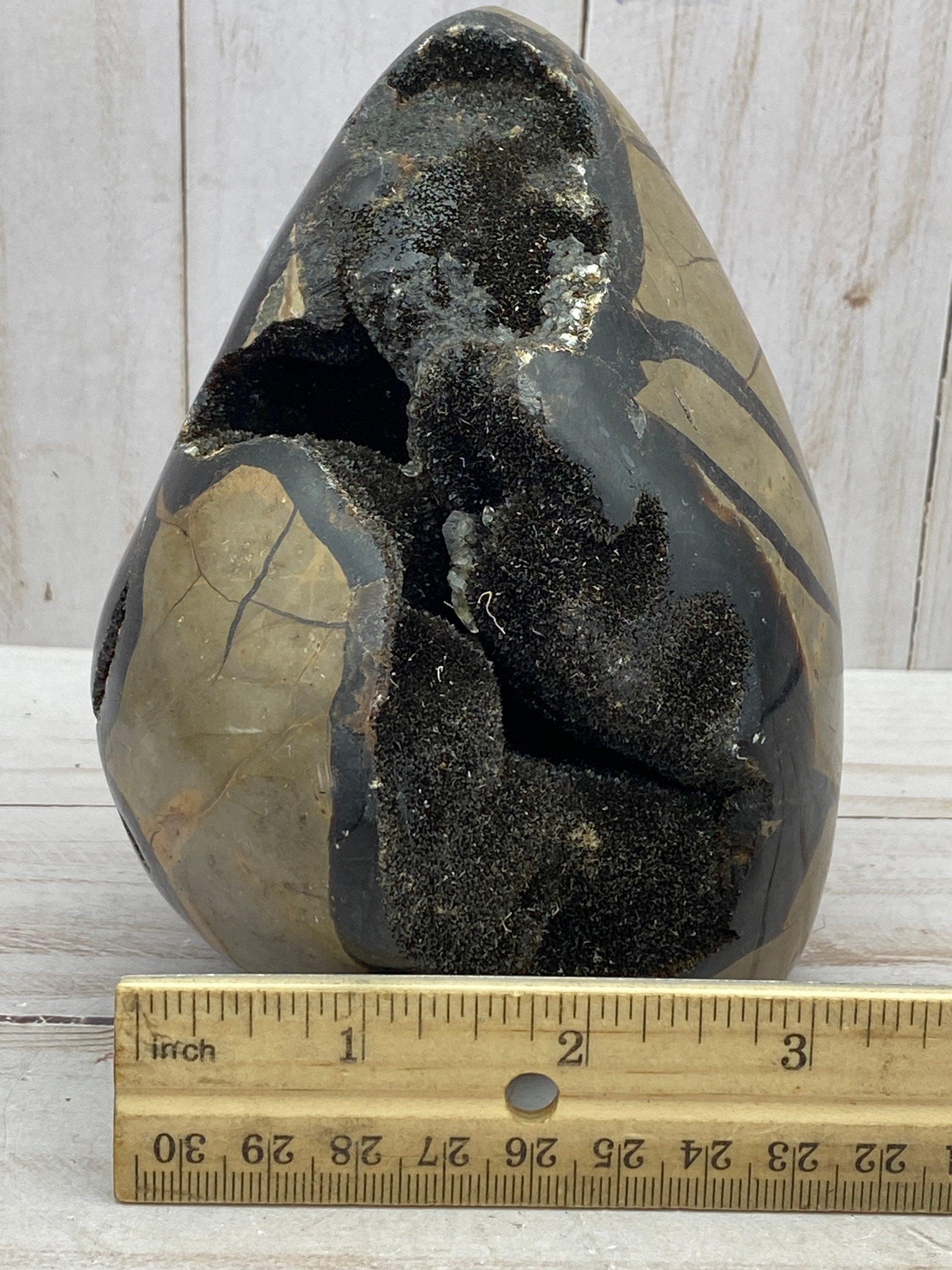 [shopname] - Dragons Egg Septarian Nodule, rock decor