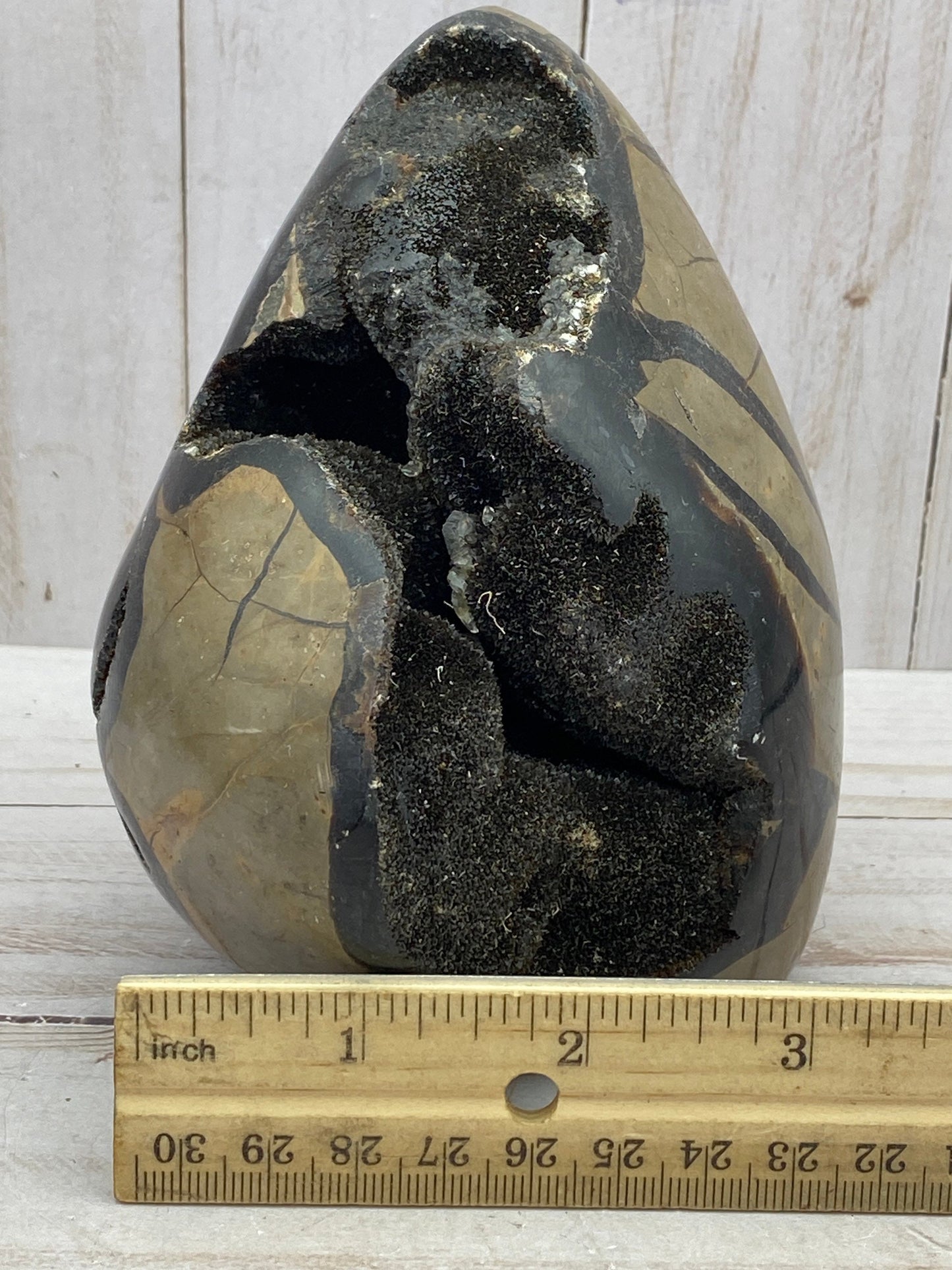 [shopname] - Dragons Egg Septarian Nodule, rock decor