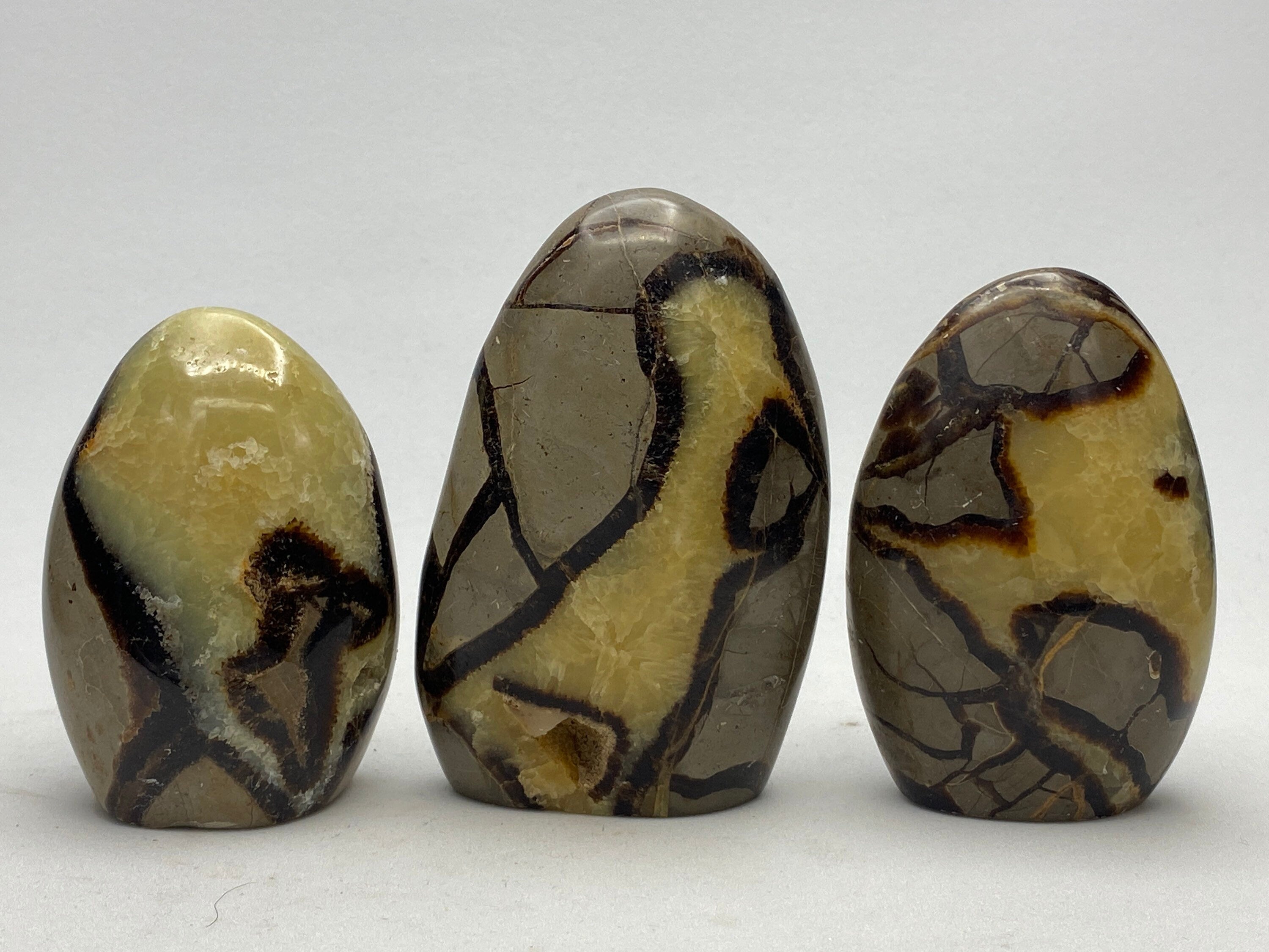 [shopname] - Septarian Nodule, dragon's egg, freeform, rock decor