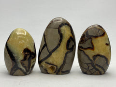 [shopname] - Septarian Nodule, dragon's egg, freeform, rock decor