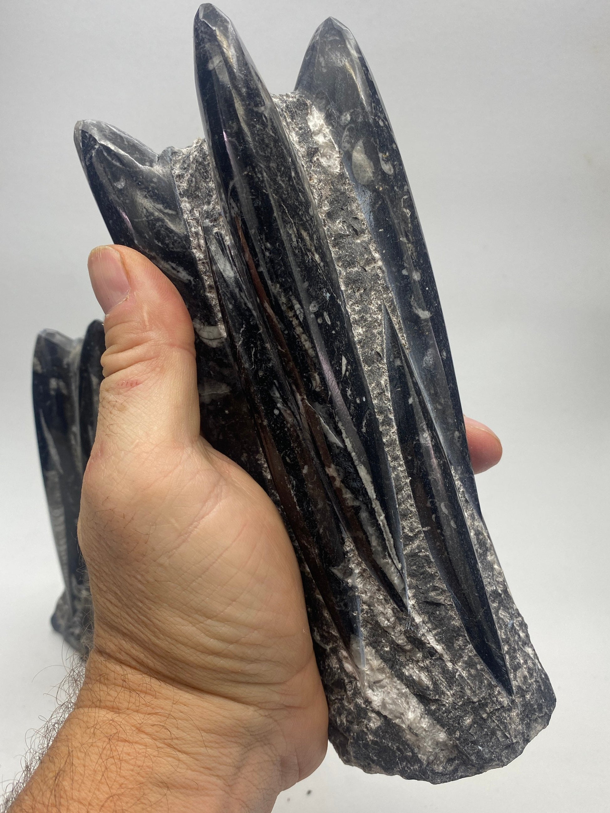 [shopname] - Orthoceras Fossil Tower, rock decor