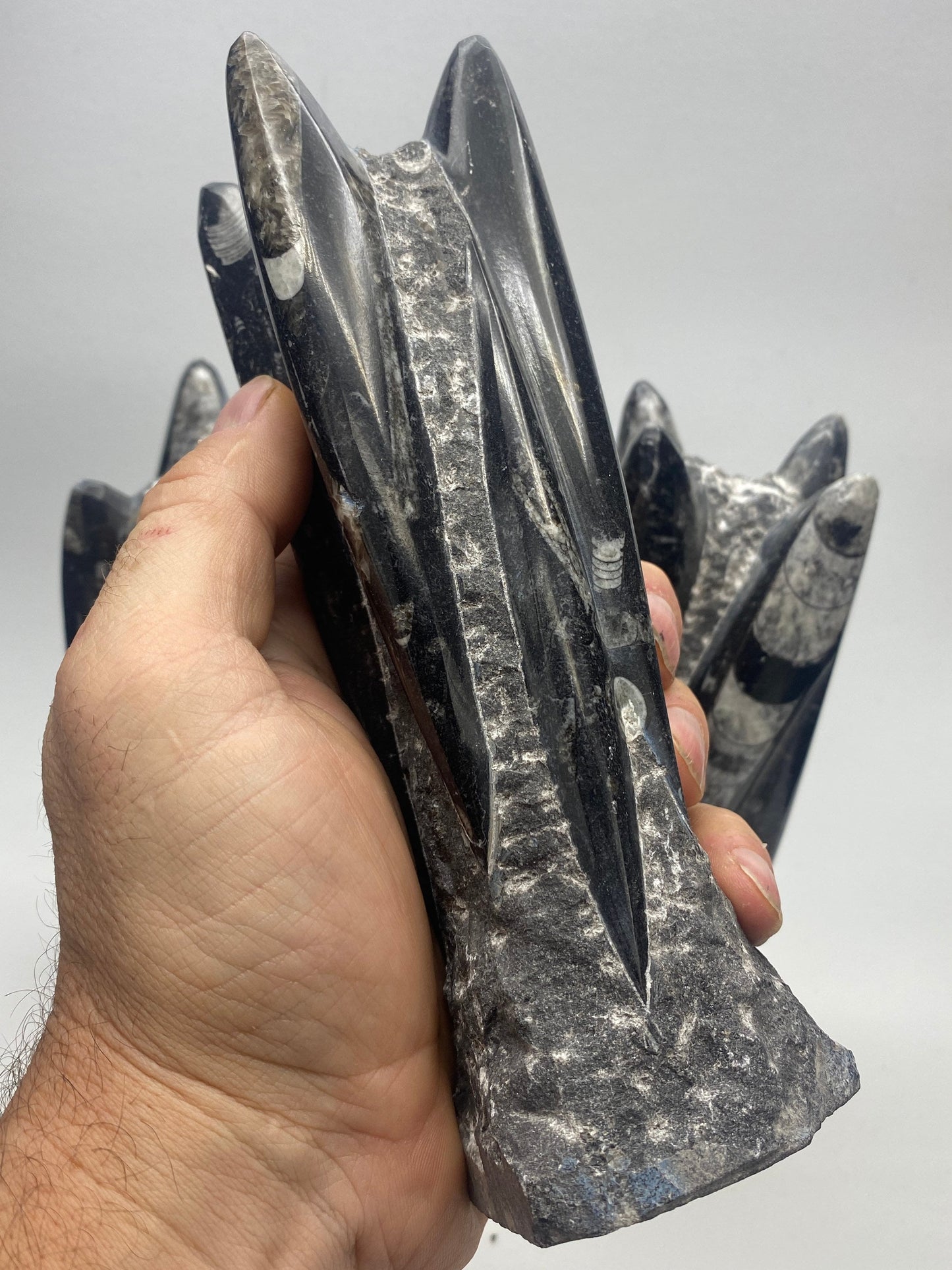 [shopname] - Orthoceras Fossil Tower, rock decor